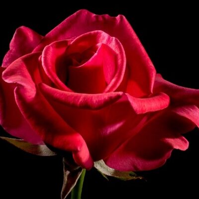 Quelle est l'étoile rouge ?