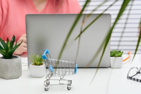 quel supermarche propose les courses par internet avec la livraison gratuite
